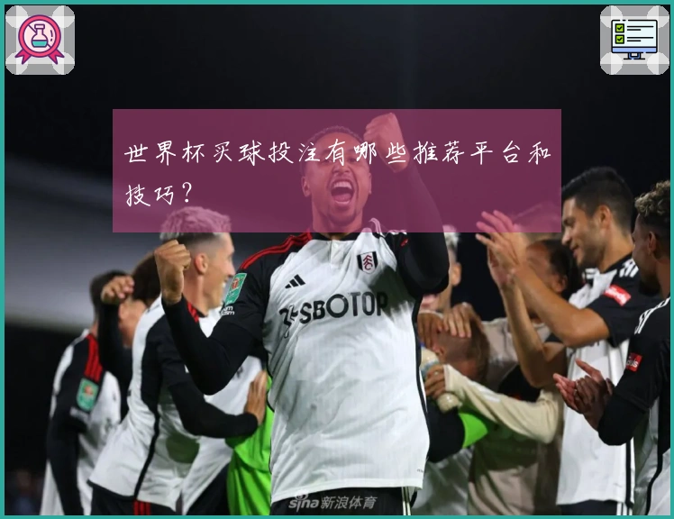 世界杯买球投注有哪些推荐平台和技巧？