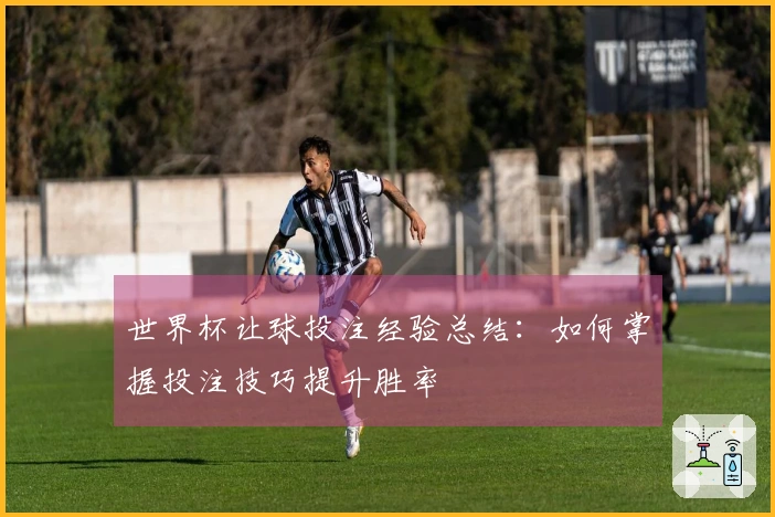 世界杯让球投注经验总结：如何掌握投注技巧提升胜率