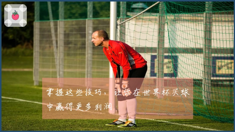 掌握这些技巧，让你在世界杯买球中赢得更多利润