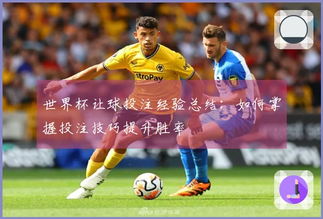 世界杯让球投注经验总结：如何掌握投注技巧提升胜率