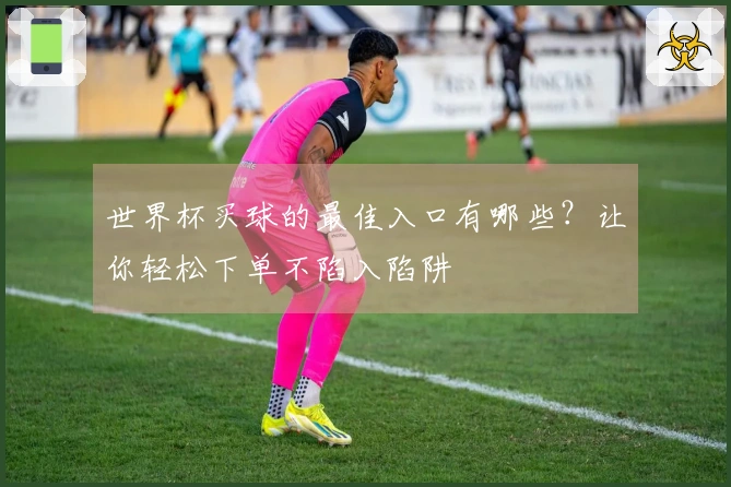 世界杯买球的最佳入口有哪些？让你轻松下单不陷入陷阱